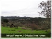 Click na foto para ampliar!