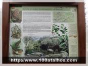 Click na foto para ampliar!