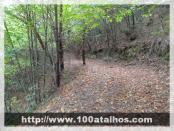 Click na foto para ampliar!