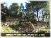 Click na foto para ampliar!