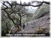 Click na foto para ampliar!