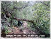 Click na foto para ampliar!