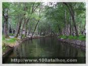 Click na foto para ampliar!