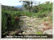 Click na foto para ampliar!