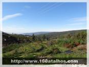 Click na foto para ampliar!