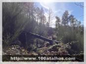 Click na foto para ampliar!