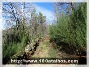 Click na foto para ampliar!