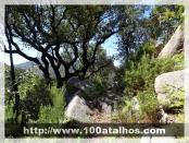 Click na foto para ampliar!