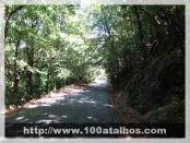 Click na foto para ampliar!