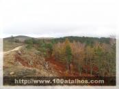 Click na foto para ampliar!