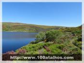 Click na foto para ampliar!