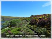 Click na foto para ampliar!