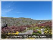 Click na foto para ampliar!