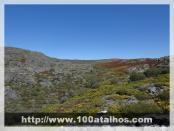 Click na foto para ampliar!