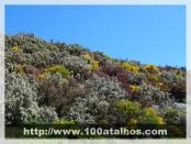 Click na foto para ampliar!