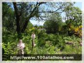 Click na foto para ampliar!