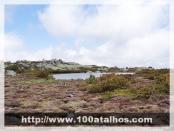 Click na foto para ampliar!