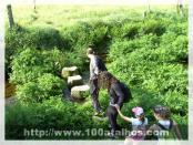 Click na foto para ampliar!