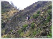 Click na foto para ampliar!