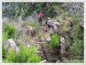 Click na foto para ampliar!