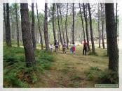 Click na foto para ampliar!