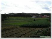 Click na foto para ampliar!