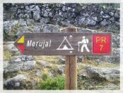 Click na foto para ampliar!