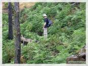 Click na foto para ampliar!