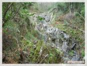 Click na foto para ampliar!