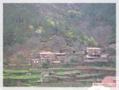 Click na foto para ampliar!