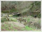 Click na foto para ampliar!