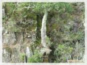 Click na foto para ampliar!