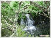 Click na foto para ampliar!