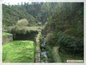 Click na foto para ampliar!