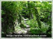 Click na foto para ampliar!