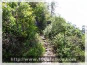 Click na foto para ampliar!