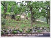 Click na foto para ampliar!