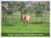 Click na foto para ampliar!