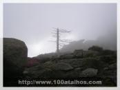 Click na foto para ampliar!