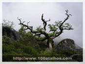 Click na foto para ampliar!