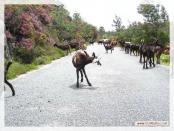 Click na foto para ampliar!