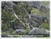 Click na foto para ampliar!