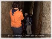 Click na foto para ampliar!