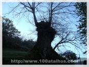 Click na foto para ampliar!