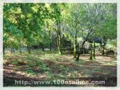 Click na foto para ampliar!