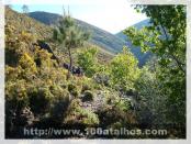 Click na foto para ampliar!