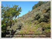 Click na foto para ampliar!