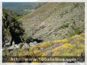 Click na foto para ampliar!