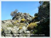 Click na foto para ampliar!