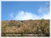 Click na foto para ampliar!